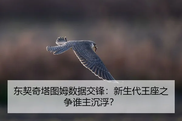 dong-qi-qi-ta-tu-mu-shu-ju-jiao-feng-xin-sheng-dai-wang-zuo-zhi-zheng-shui-zhu-chen-fu-2-228.jpg